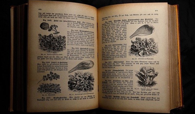 Cookbook for healthy eating, Skelian Chiropractic Clinic,