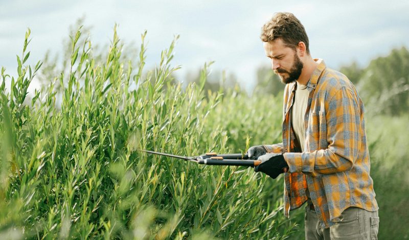 Gardening tools Cheltenham