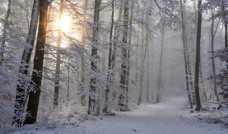 Winter Walks Cheltenham